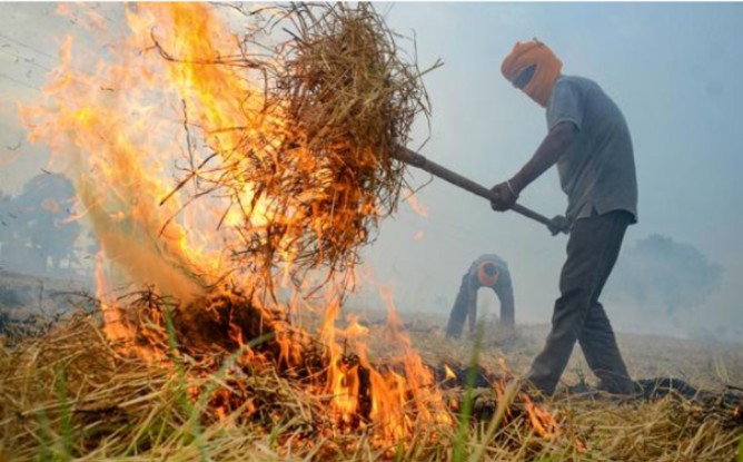 Police registered 15 cases of stubble burning in Patiala district
